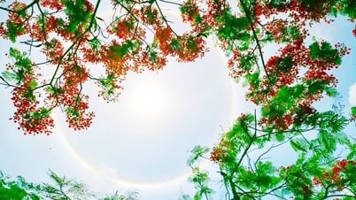 ប៉ះ