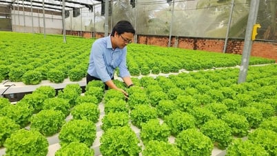 Unternehmen setzen auf grüne Produktion, um Exportmärkte zu sichern