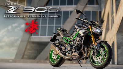 Ra mắt Kawasaki Z900 2025, giá từ 289,5 triệu đồng