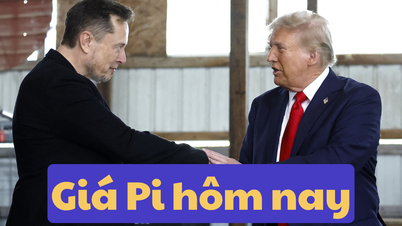 Giá Pi Network hôm nay 8/6/2025: Căng thẳng giữa Elon Musk và Donald Trump