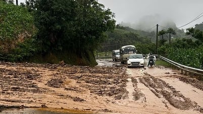 Alerte aux crues soudaines et aux glissements de terrain dans 16 provinces du Nord, du Centre et des Hauts Plateaux du Centre