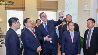 Pham Minh Chinh 총리가 에스토니아 총리와 회담을 갖습니다.