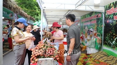 Gần 20 nghìn lượt khách tham quan, mua sắm tại Phiên chợ vải Hưng Yên năm 2025