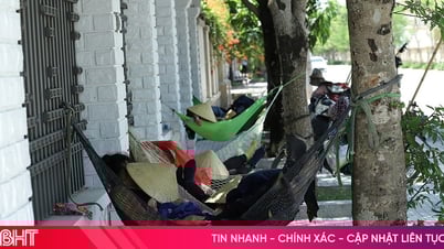 Những giấc ngủ bên vỉa hè ngày nắng nóng
