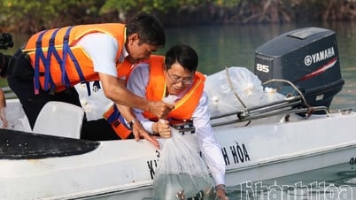 Liberación de más de 423.500 alevines de peces y camarones para regenerar los recursos acuáticos en la bahía de Nha Trang