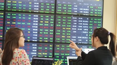 VN-Index đang vào giai đoạn khó lường, nhà đầu tư làm gì để tránh "bị xô xa bờ"?