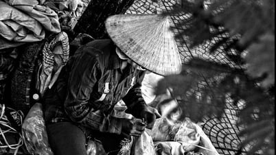 Tiếng rao