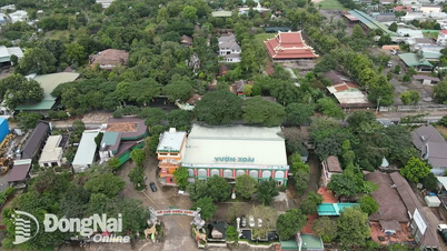 Đồng Nai yêu cầu các sở, ngành, địa phương tham mưu xử lý các vụ việc liên quan đến đất đai trên địa bàn tỉnh