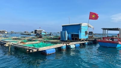 ការប្រលងសរសេរ "អធិបតេយ្យភាពជាតិអសមត្ថភាព"៖ ការពង្រឹងកោះក្រៅ