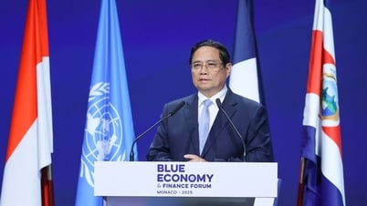 Thủ tướng bắt đầu các hoạt động dự Hội nghị Đại dương Liên Hợp Quốc