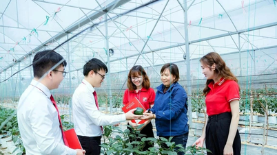 Cơ hội và thách thức của tín dụng xanh