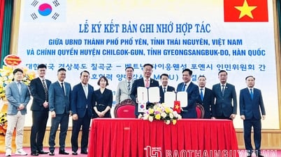 Thái Nguyên và tỉnh Gyeongsangbuk-do (Hàn Quốc): Hợp tác thiết thực, bình đẳng, cùng có lợi
