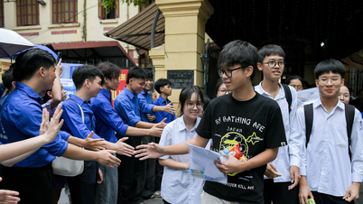 Quelques codes d'examen de langue étrangère lors de l'examen d'entrée en 10e année à Hanoi