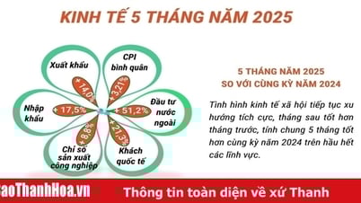 Tình hình kinh tế Việt Nam 5 tháng đầu năm 2025
