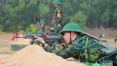 Regimiento Gia Dinh - Comando de Ciudad Ho Chi Minh: Sólido en entrenamiento, cercano en gestión