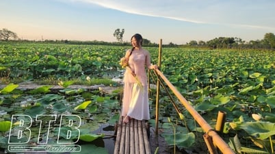 HTX hoa sen Vân Đài: Điểm check-in của giới trẻ