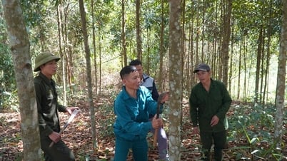 Эффективность экономических моделей в районах проживания этнических меньшинств