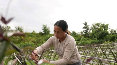 Đa dạng mô hình giảm nghèo ở Phước Sơn