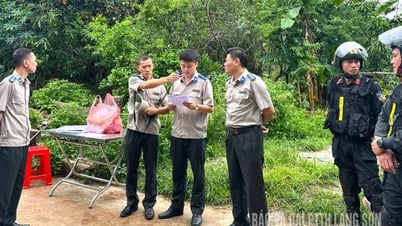 사건을 서류상으로만 '멈추게' 두지 마세요.