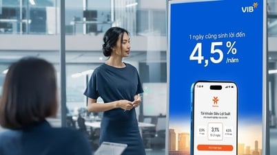 Optimales selbstgenerierendes Betriebskapital mit dem VIB Super Yield Account für Unternehmen