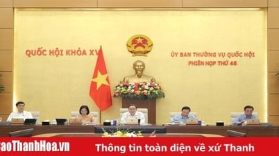 Miễn thuế thu nhập với nhân lực công nghiệp công nghệ số chất lượng cao