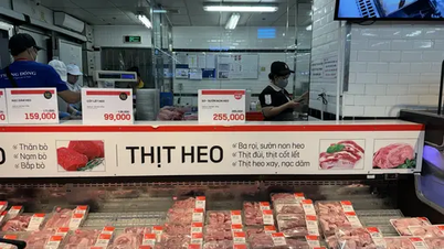 Schweinepreis heute, 9. Juni: Vielerorts gesunken