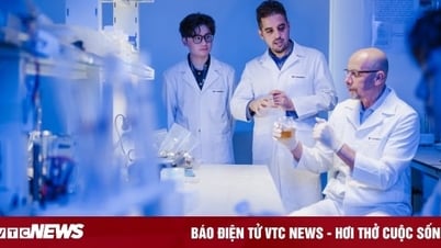 VinUni vise à figurer parmi les 100 meilleures universités du monde - en recrutant 500 scientifiques