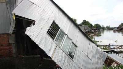 UBND tỉnh chỉ đạo tăng cường phòng, chống thiên tai