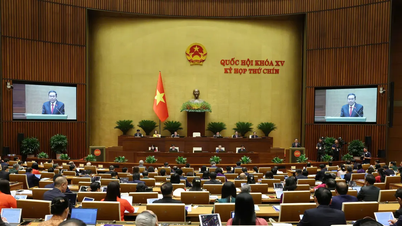 Working week 5, 9th session, 15th National Assembly: Reviewing and approving many draft laws