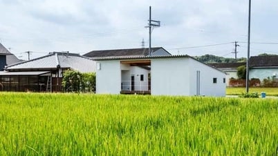 Diện tích công trình phục vụ sản xuất nông nghiệp xây trên đất trồng lúa tối đa 1.000 m2