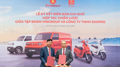 Vingroup và Shopee hợp tác chiến lược phát triển hạ tầng thương mại điện tử