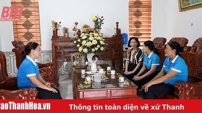 Phòng, chống bạo lực gia đình