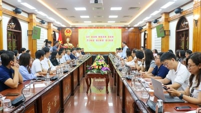 UBND tỉnh tiếp và làm việc với Trường Chính sách Công và Quản lý Fulbright