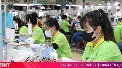 Ha Tinh Textile and Garment erholt sich stark und führt Markttrends an
