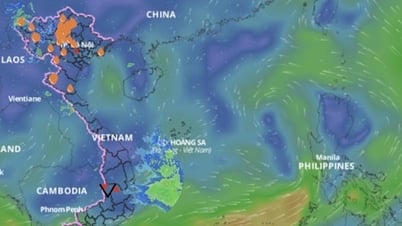 Vùng áp thấp trên Biển Đông diễn biến phức tạp, khả năng mạnh lên thành bão