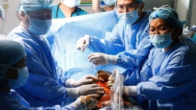 Le voyage méconnu du miracle de l'intervention cardiaque fœtale au Vietnam