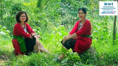 Trải nghiệm: Hành trình hồi sinh những vườn rừng tại  bản Thổ 