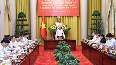 Chủ tịch nước Lương Cường làm việc với Tỉnh ủy Hưng Yên và Thái Bình