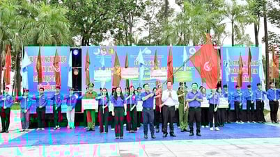 សកម្មភាពស្ម័គ្រចិត្តរដូវក្តៅដ៏គួរឱ្យរំភើប