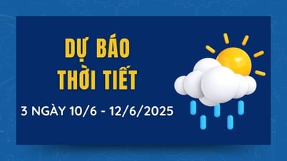 Prévisions météo pour les 3 prochains jours du 10 au 12 juin 2025