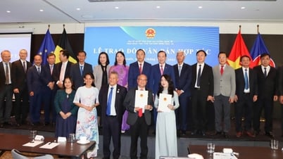 MB đồng hành cùng Đại sứ quán Việt Nam tại Bỉ và cộng đồng doanh nghiệp Việt tại EU