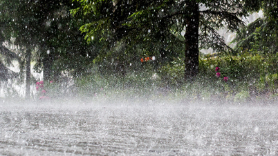 本日の天気（6月9日）：北部は雷雨、中部は暑くなる