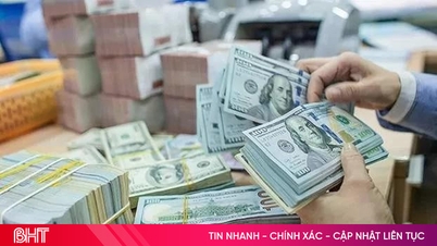 Tipo de cambio del USD hoy 9 de junio: Tasa central aumenta