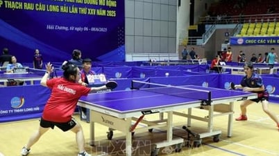 Hai Duong gewann die Mannschaftsgesamtmeisterschaft im offenen Jugend-, Teenager- und Kinder-Tischtennisturnier