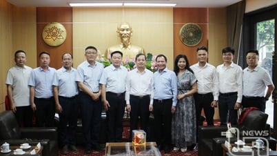 สหาย Pham Hoang Son ทำงานร่วมกับตัวแทนของ XINFA Group