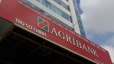 Agribank rao bán khoản nợ được thế chấp bằng hơn 3.500ha rừng keo