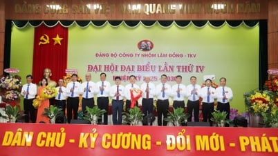 Building Lam Dong Aluminum Company to develop stably and sustainably