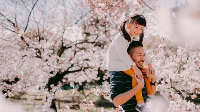 Suggestions for 5 best check-in locations in Fukushima