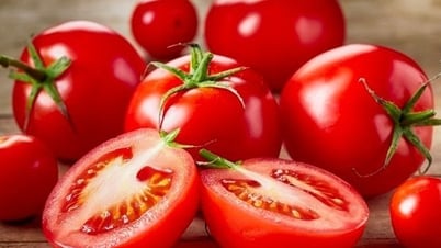 Des aliments riches en eau sont nécessaires pour éviter que les élèves ne se déshydratent à cause de la chaleur.