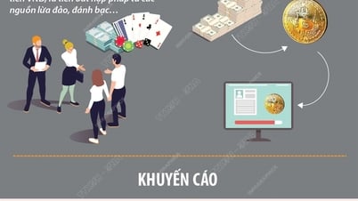 자금세탁 및 사기를 목적으로 회사를 설립하는 것에 대한 경고로 심각한 결과가 초래됩니다.